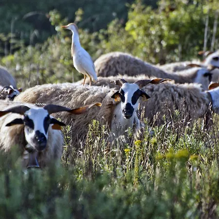 Hotel By Wot Signature Aldeia Da Pedralva