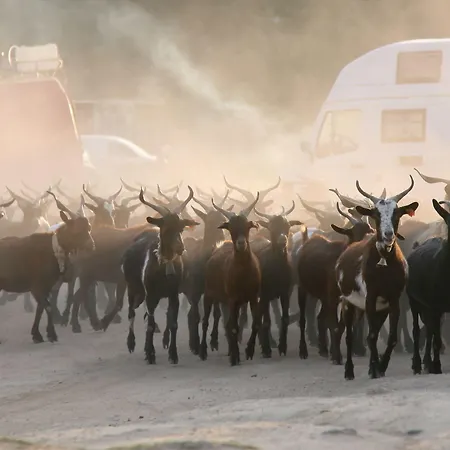 By Wot Signature Hotel 3*